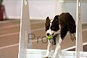 img_0352_thm.jpg
