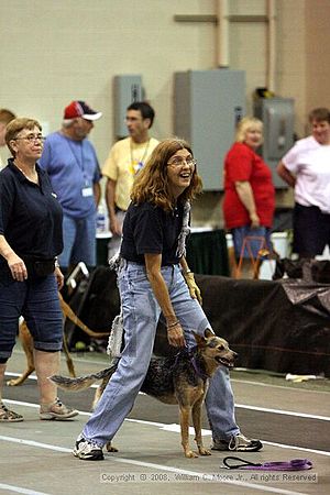 Dawg Derby Flyball Tournement<br />July 13<br />Classic Center<br />Athens, Ga