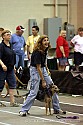 img_0386_thm.jpg