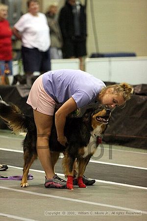 Dawg Derby Flyball Tournement<br />July 13<br />Classic Center<br />Athens, Ga