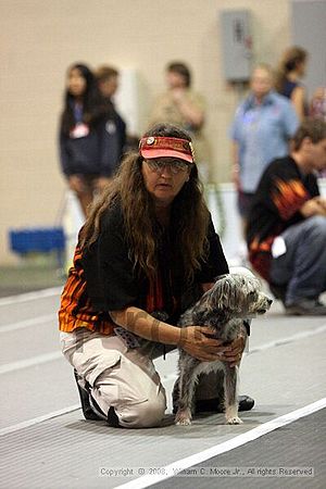 Dawg Derby Flyball Tournement<br />July 13<br />Classic Center<br />Athens, Ga