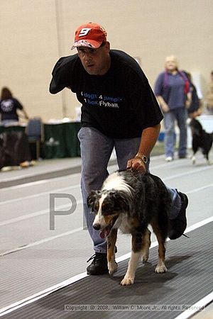 Dawg Derby Flyball Tournement<br />July 13<br />Classic Center<br />Athens, Ga