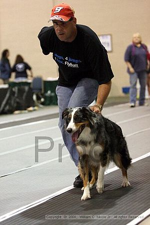 Dawg Derby Flyball Tournement<br />July 13<br />Classic Center<br />Athens, Ga