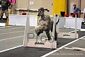 img_0431_thm.jpg