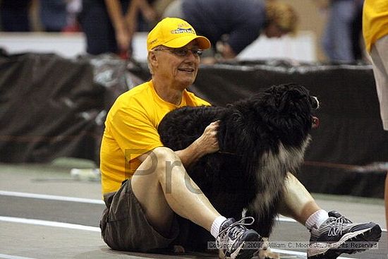 Dawg Derby Flyball Tournement<br />July 13<br />Classic Center<br />Athens, Ga
