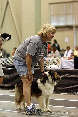 Dawg Derby Flyball Tournement<br />July 13<br />Classic Center<br />Athens, Ga