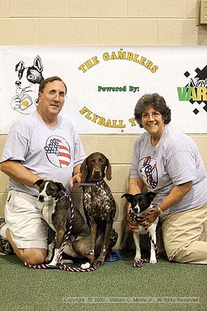 Dawg Derby Flyball Tournement<br />July 13<br />Classic Center<br />Athens, Ga