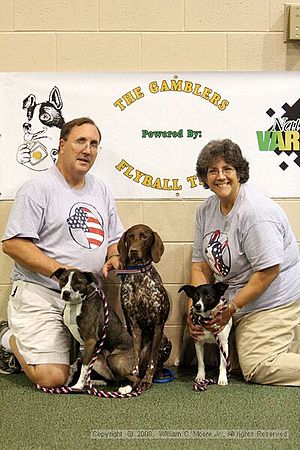 Dawg Derby Flyball Tournement<br />July 13<br />Classic Center<br />Athens, Ga