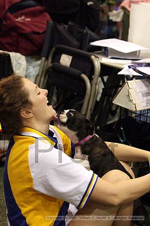 Dawg Derby Flyball Tournement<br />July 12<br />Classic Center<br />Athens, Ga