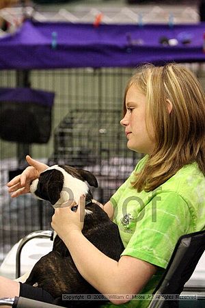 Dawg Derby Flyball Tournement<br />July 12<br />Classic Center<br />Athens, Ga