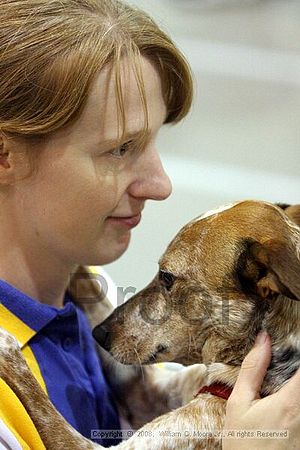 Dawg Derby Flyball Tournement<br />July 12<br />Classic Center<br />Athens, Ga
