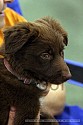 img_5183_thm.jpg