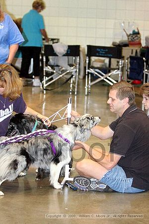 Birmingham Bandits Summer Shootout<br />June 28th, 2008<br />Bessemer Civic Center<br />Bessemer Al