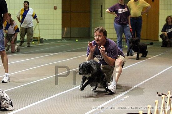 Birmingham Bandits Summer Shootout<br />June 28th, 2008<br />Bessemer Civic Center<br />Bessemer Al