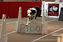 img_3205_thm.jpg