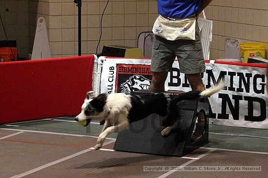Birmingham Bandits Summer Shootout<br />June 28th, 2008<br />Bessemer Civic Center<br />Bessemer Al
