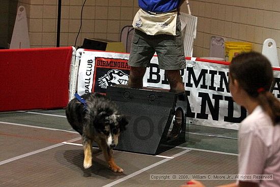 Birmingham Bandits Summer Shootout<br />June 28th, 2008<br />Bessemer Civic Center<br />Bessemer Al