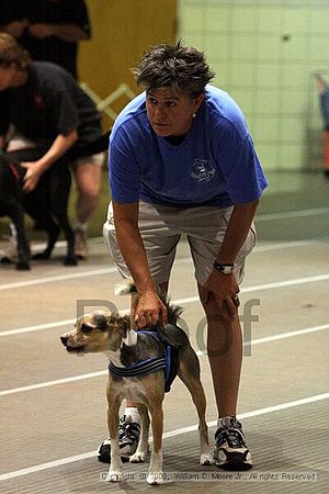 Birmingham Bandits Summer Shootout<br />June 28th, 2008<br />Bessemer Civic Center<br />Bessemer Al