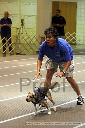 Birmingham Bandits Summer Shootout<br />June 28th, 2008<br />Bessemer Civic Center<br />Bessemer Al