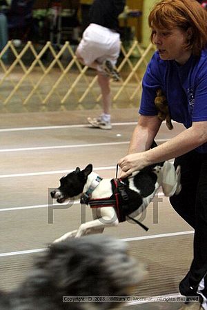 Birmingham Bandits Summer Shootout<br />June 28th, 2008<br />Bessemer Civic Center<br />Bessemer Al