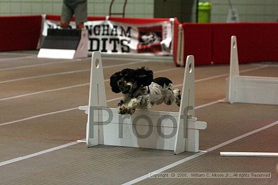 Birmingham Bandits Summer Shootout<br />June 28th, 2008<br />Bessemer Civic Center<br />Bessemer Al
