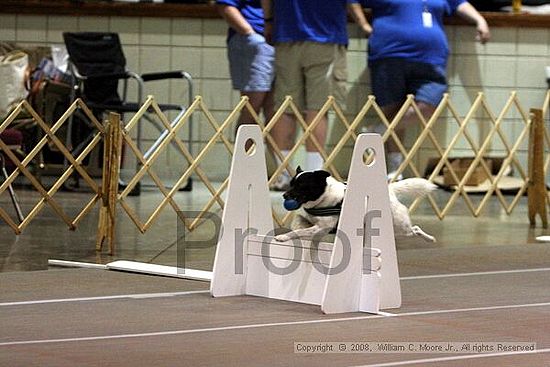 Birmingham Bandits Summer Shootout<br />June 28th, 2008<br />Bessemer Civic Center<br />Bessemer Al