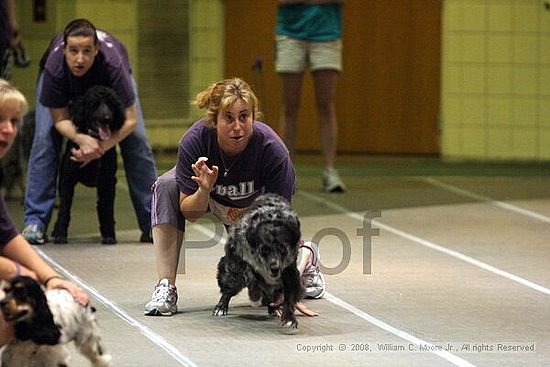 Birmingham Bandits Summer Shootout<br />June 28th, 2008<br />Bessemer Civic Center<br />Bessemer Al