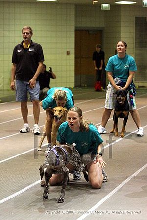 Birmingham Bandits Summer Shootout<br />June 28th, 2008<br />Bessemer Civic Center<br />Bessemer Al