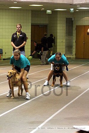 Birmingham Bandits Summer Shootout<br />June 28th, 2008<br />Bessemer Civic Center<br />Bessemer Al