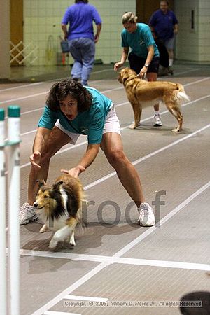 Birmingham Bandits Summer Shootout<br />June 28th, 2008<br />Bessemer Civic Center<br />Bessemer Al