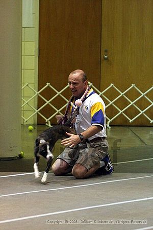Birmingham Bandits Summer Shootout<br />June 28th, 2008<br />Bessemer Civic Center<br />Bessemer Al