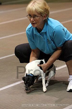 Birmingham Bandits Summer Shootout<br />June 28th, 2008<br />Bessemer Civic Center<br />Bessemer Al
