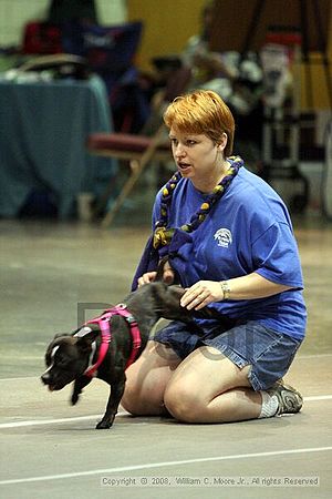 Birmingham Bandits Summer Shootout<br />June 28th, 2008<br />Bessemer Civic Center<br />Bessemer Al