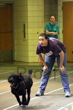 Birmingham Bandits Summer Shootout<br />June 28th, 2008<br />Bessemer Civic Center<br />Bessemer Al