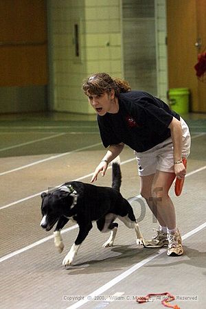 Birmingham Bandits Summer Shootout<br />June 28th, 2008<br />Bessemer Civic Center<br />Bessemer Al