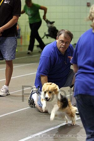 Birmingham Bandits Summer Shootout<br />June 28th, 2008<br />Bessemer Civic Center<br />Bessemer Al