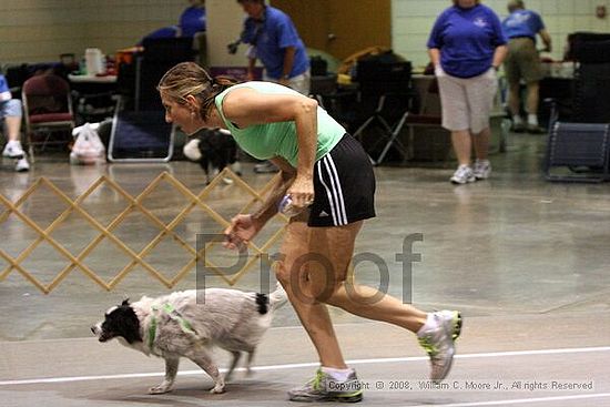 Birmingham Bandits Summer Shootout<br />June 28th, 2008<br />Bessemer Civic Center<br />Bessemer Al