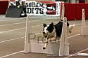 img_3451_thm.jpg