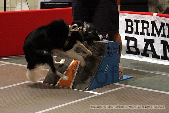 Birmingham Bandits Summer Shootout<br />June 28th, 2008<br />Bessemer Civic Center<br />Bessemer Al