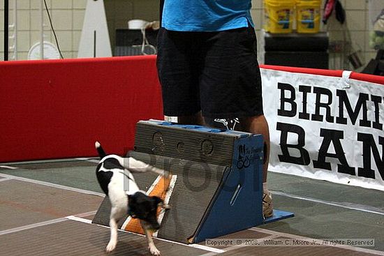 Birmingham Bandits Summer Shootout<br />June 28th, 2008<br />Bessemer Civic Center<br />Bessemer Al