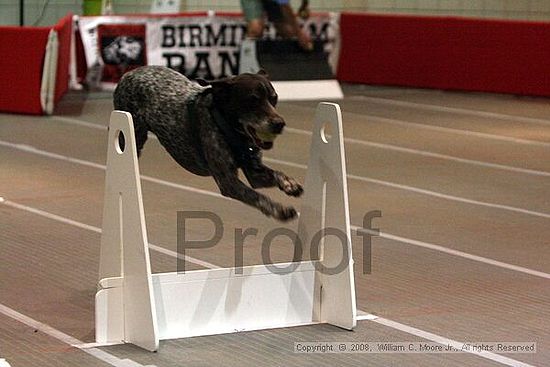 Birmingham Bandits Summer Shootout<br />June 28th, 2008<br />Bessemer Civic Center<br />Bessemer Al