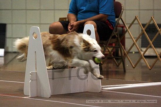 Birmingham Bandits Summer Shootout<br />June 28th, 2008<br />Bessemer Civic Center<br />Bessemer Al