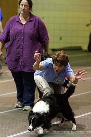 Birmingham Bandits Summer Shootout<br />June 28th, 2008<br />Bessemer Civic Center<br />Bessemer Al