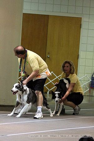 Birmingham Bandits Summer Shootout<br />June 28th, 2008<br />Bessemer Civic Center<br />Bessemer Al