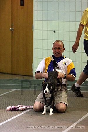Birmingham Bandits Summer Shootout<br />June 28th, 2008<br />Bessemer Civic Center<br />Bessemer Al