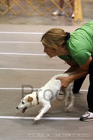 Birmingham Bandits Summer Shootout<br />June 28th, 2008<br />Bessemer Civic Center<br />Bessemer Al