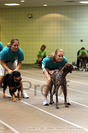 Birmingham Bandits Summer Shootout<br />June 28th, 2008<br />Bessemer Civic Center<br />Bessemer Al