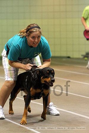 Birmingham Bandits Summer Shootout<br />June 28th, 2008<br />Bessemer Civic Center<br />Bessemer Al