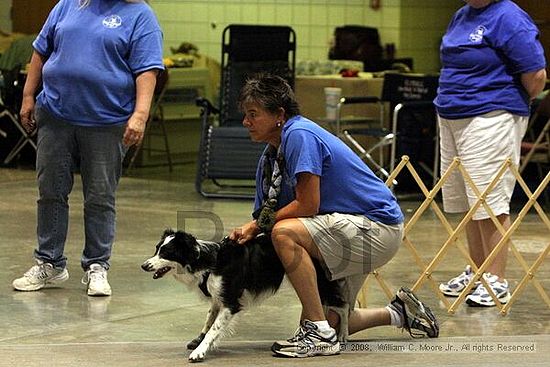 Birmingham Bandits Summer Shootout<br />June 28th, 2008<br />Bessemer Civic Center<br />Bessemer Al