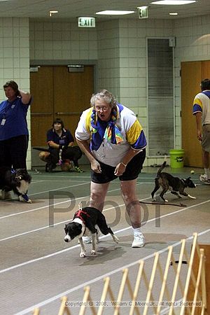 Birmingham Bandits Summer Shootout<br />June 28th, 2008<br />Bessemer Civic Center<br />Bessemer Al